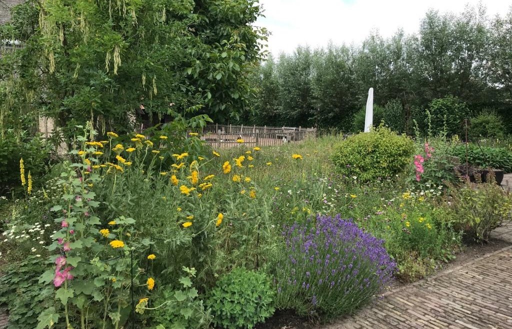 Wat een heerlijke tuin om in te mogen werken!