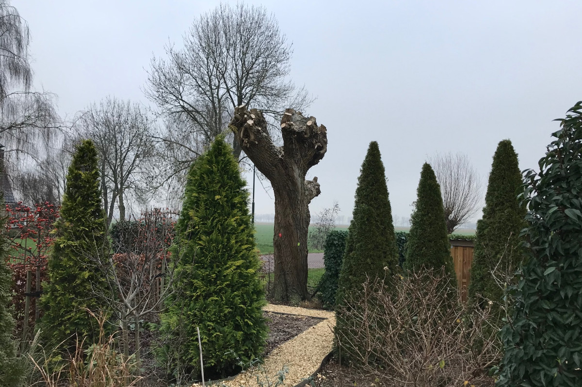 Marielle's beestenboel duurzaam bezig met tuinonderhoud!