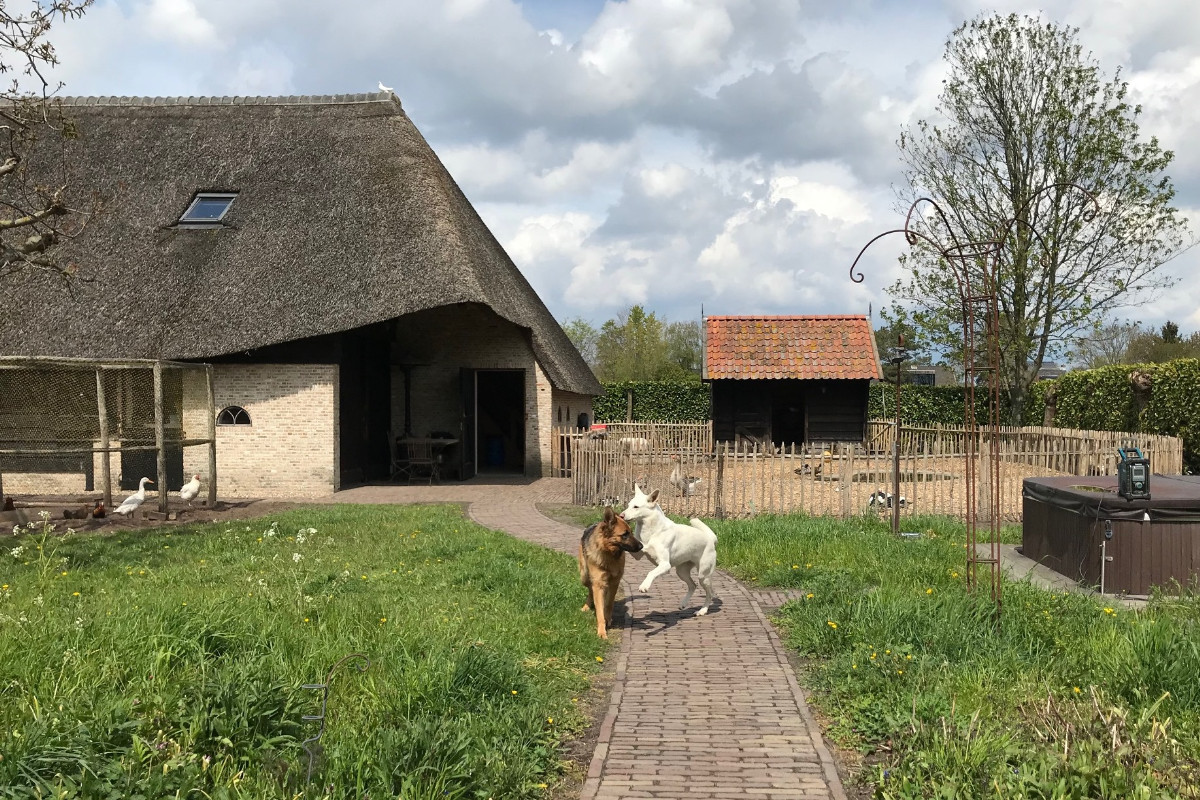 Werken in een tuin met allerlei dieren, te leuk!