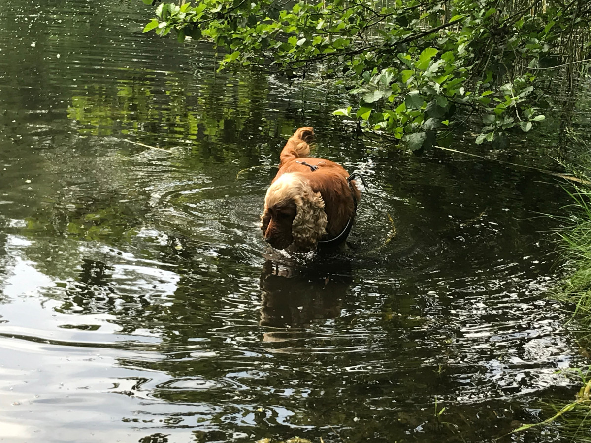 Adje lekker in een 'badje'